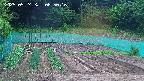 kannonmori-20250524085017.jpg