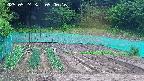 kannonmori-20250524090016.jpg