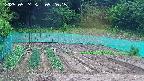 kannonmori-20250524092016.jpg