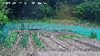 kannonmori-20250524104017.jpg
