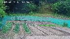 kannonmori-20250524112015.jpg