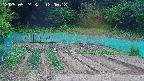 kannonmori-20250524120019.jpg