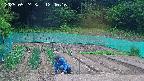 kannonmori-20250524124017.jpg