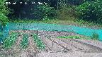 kannonmori-20250524130017.jpg