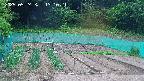 kannonmori-20250524131022.jpg