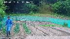 kannonmori-20250524133015.jpg