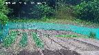 kannonmori-20250524135015.jpg