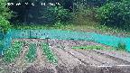 kannonmori-20250524142017.jpg