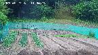kannonmori-20250524143016.jpg
