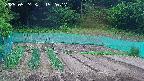kannonmori-20250524152018.jpg