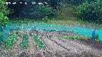 kannonmori-20250524155016.jpg