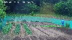 kannonmori-20250524161016.jpg