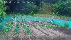kannonmori-20250524162017.jpg