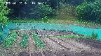 kannonmori-20250524163015.jpg