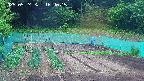 kannonmori-20250524164016.jpg