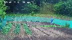 kannonmori-20250524165014.jpg