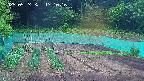 kannonmori-20250524171017.jpg