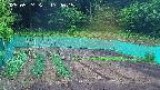 kannonmori-20250524174017.jpg