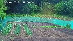 kannonmori-20250524180017.jpg