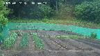 kannonmori-20250524185014.jpg
