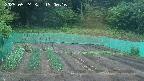 kannonmori-20250524190017.jpg