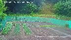 kannonmori-20250525050017.jpg