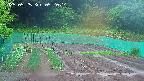 kannonmori-20250525052015.jpg