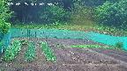 kannonmori-20250525075015.jpg