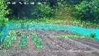 kannonmori-20250525082019.jpg