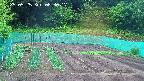 kannonmori-20250525083018.jpg