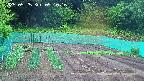 kannonmori-20250525091016.jpg