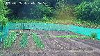 kannonmori-20250525092016.jpg