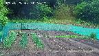 kannonmori-20250525101017.jpg