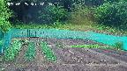 kannonmori-20250525102017.jpg