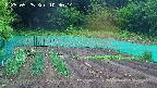 kannonmori-20250525103014.jpg