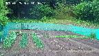 kannonmori-20250525104014.jpg