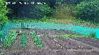 kannonmori-20250525105016.jpg