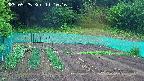 kannonmori-20250525111017.jpg