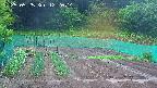 kannonmori-20250525122015.jpg
