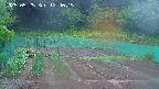 kannonmori-20250525124017.jpg