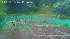 kannonmori-20250525133018.jpg