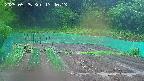 kannonmori-20250525134015.jpg