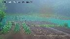 kannonmori-20250525153017.jpg
