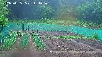 kannonmori-20250525154018.jpg