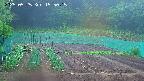 kannonmori-20250525155016.jpg