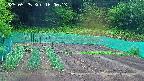 kannonmori-20250525160015.jpg