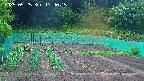 kannonmori-20250525174017.jpg
