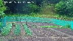 kannonmori-20250525175017.jpg