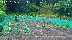 kannonmori-20250525180017.jpg