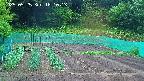kannonmori-20250525181015.jpg